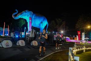 BIB: 
                            <button type="button" onclick="openModal(26552405)" class="btn btn-primary btn-sm float-right btn-popup" data-toggle="modal" data-target=".modal-high-quality">
                        <i class="fas fa-shopping-cart"></i> Add to Cart
                    </button>
                                            <button type="button" onclick="isThisMe(26552405, true)" class="btn btn-success btn-sm float-right btn-popup btn-isme hidden" data-toggle="tooltip" data-placement="bottom" title="นี่คือรูปของคุณใช่ไหม คลิกที่นี่เพื่อเอาเข้าอัลบั้ม">
                        <i class="fas fa-plus"></i> Add to album
                    </button>
                    <button type="button" onclick="isThisMe(26552405, false)" class="btn btn-warning btn-sm float-right btn-popup btn-isnotme hidden">
                        <i class="fas fa-ban"></i> Remove from album
                    </button>